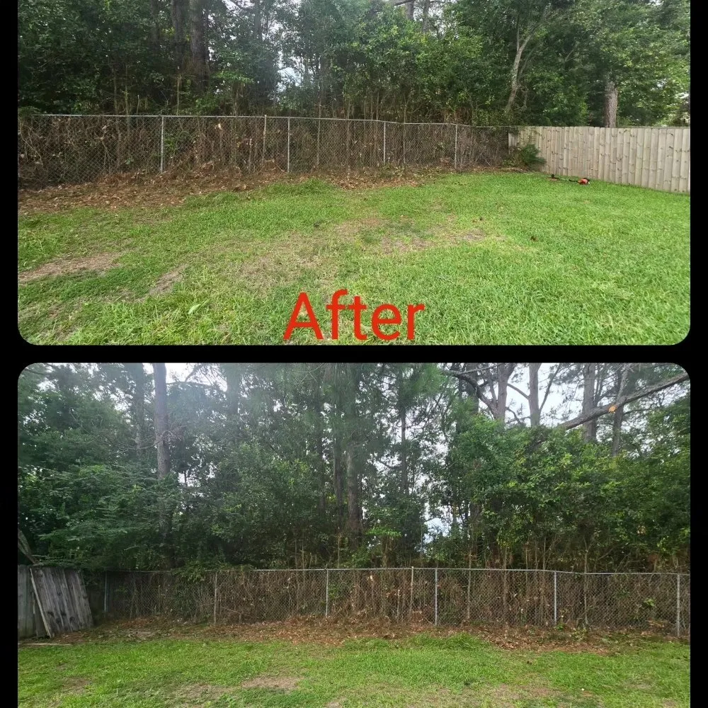 Trusted yard maintenance experts serving Ocean Springs, MS - Sassano & Sons