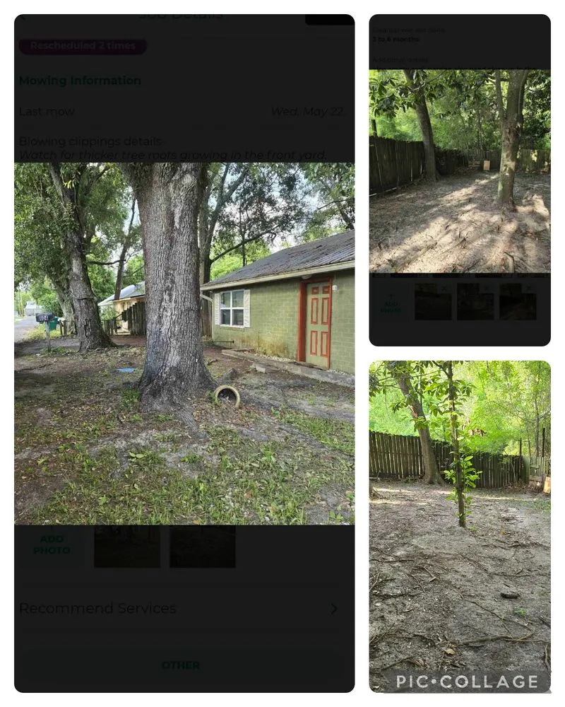 Expert landscape design for outdoor upgrades in Ocean Springs, MS by Sassano & Sons