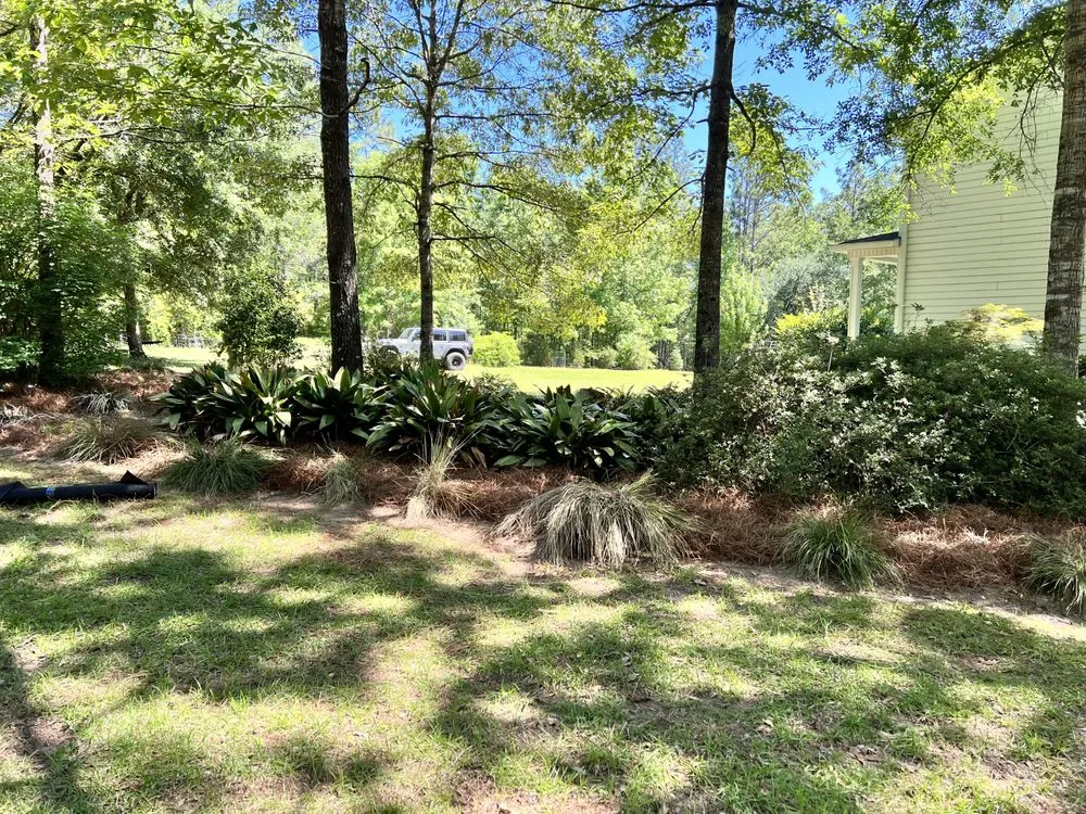 Custom yard cleanup service in Bay Minette, AL - Sassy Grass Landscape