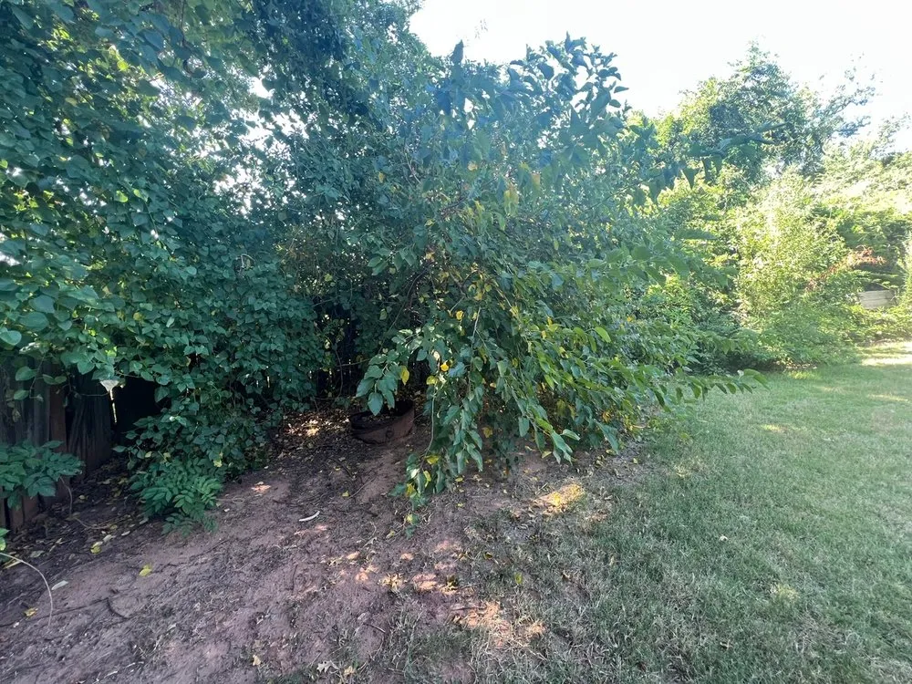 Local lawn mowing service in Purcell, OK by SassyGrass