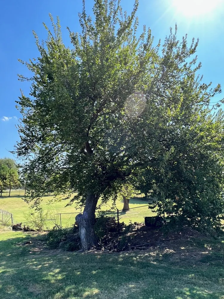 Professional landscape installation experts serving Purcell, OK - SassyGrass