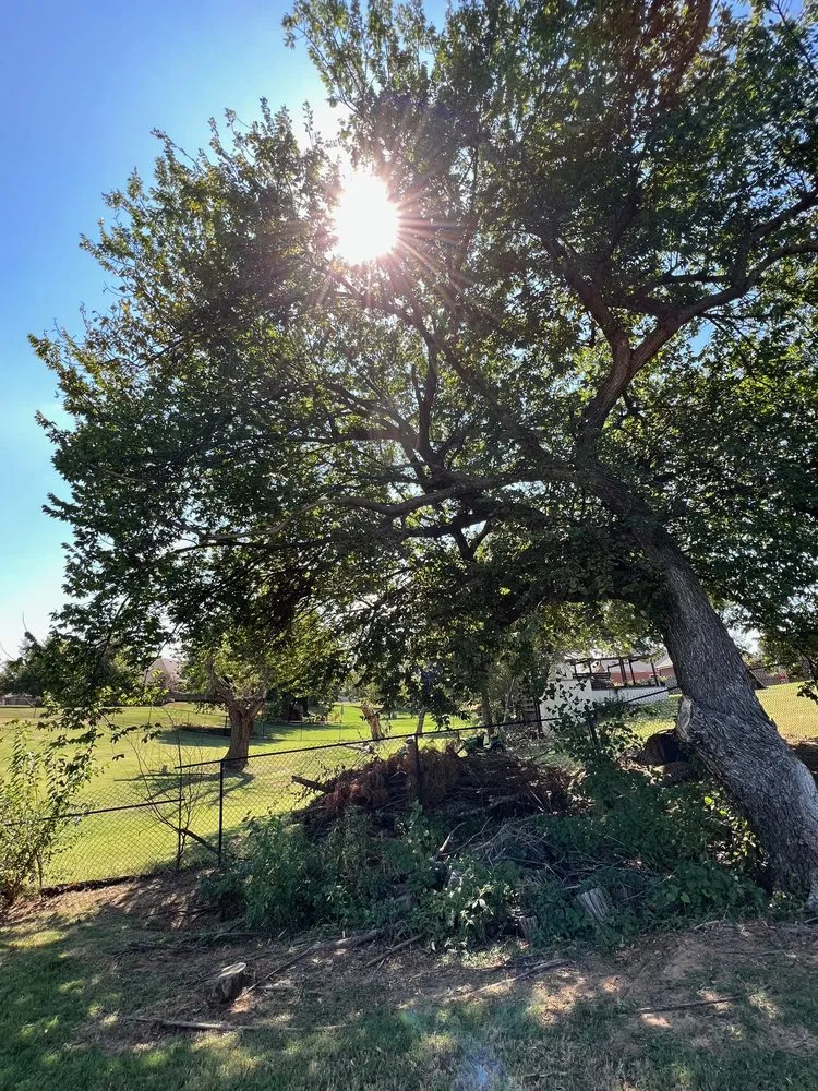 Local garden landscaping for outdoor upgrades in Purcell, OK by SassyGrass