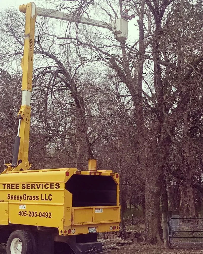 Professional landscape design for year-round maintenance across Purcell, OK - SassyGrass