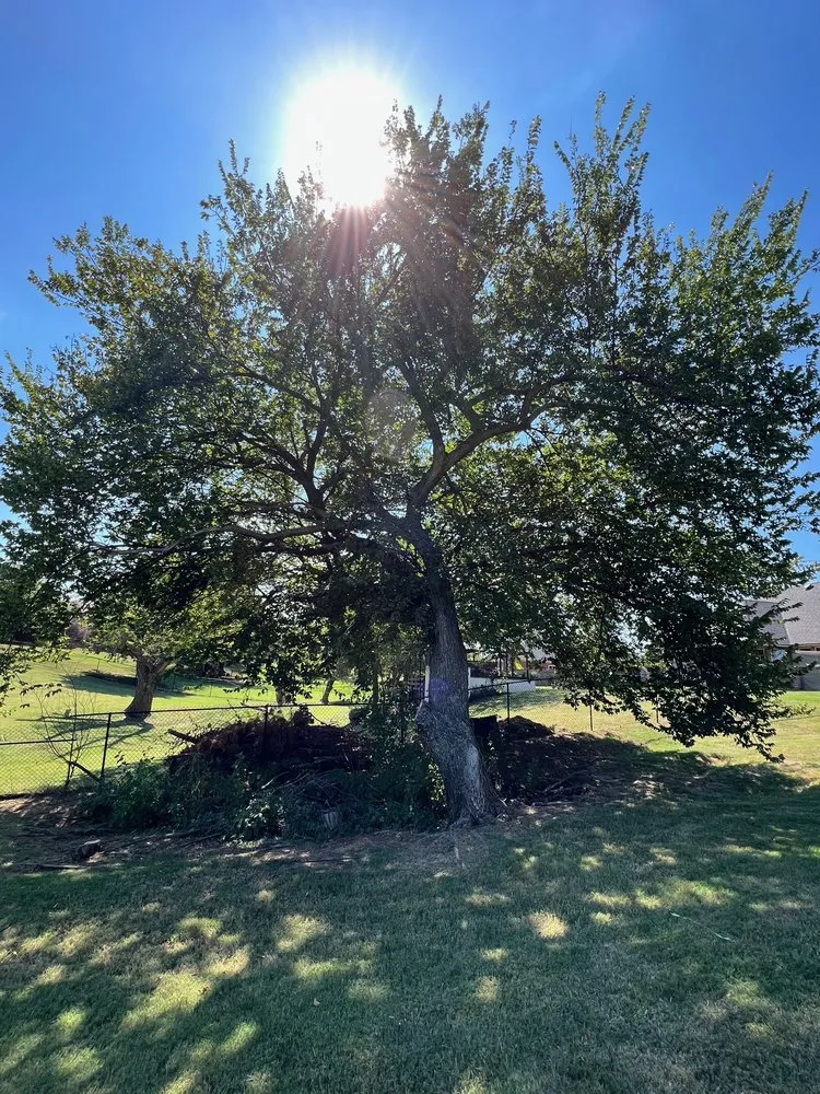 Reliable residential landscaping experts serving Purcell, OK - SassyGrass