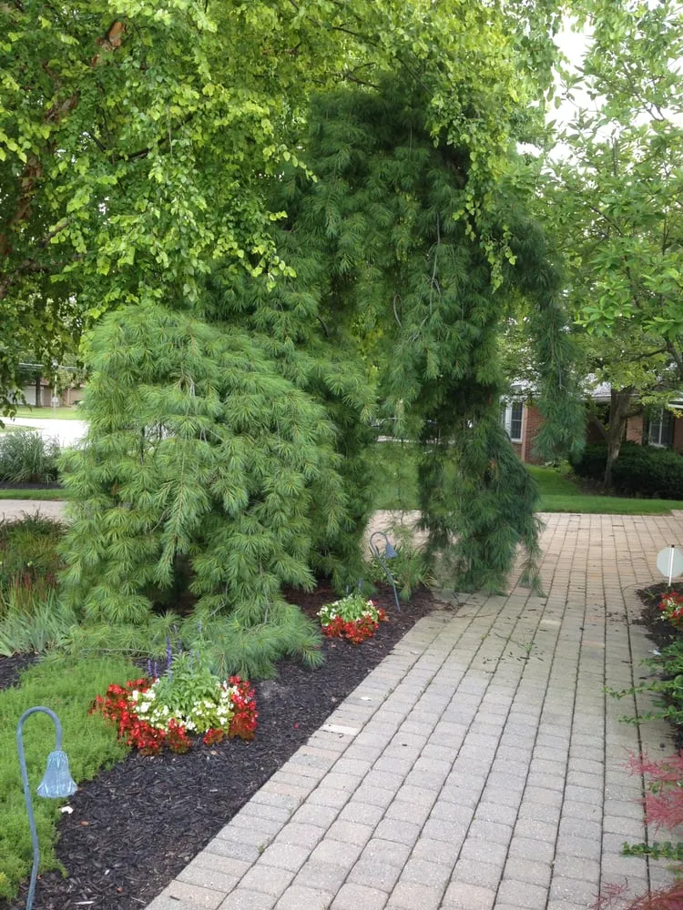 Professional outdoor landscaping in Columbus, OH - SAT Landscape Services