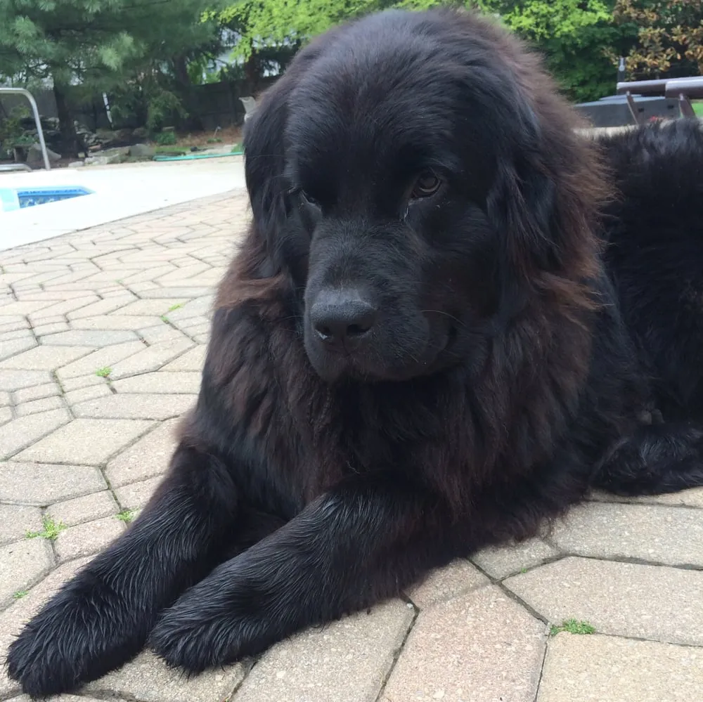 Custom landscaping services in Columbus, OH by SAT Landscape Services