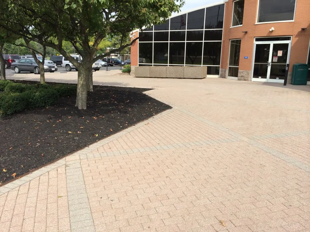 Trusted yard cleanup service in Columbus, OH by SAT Landscape Services