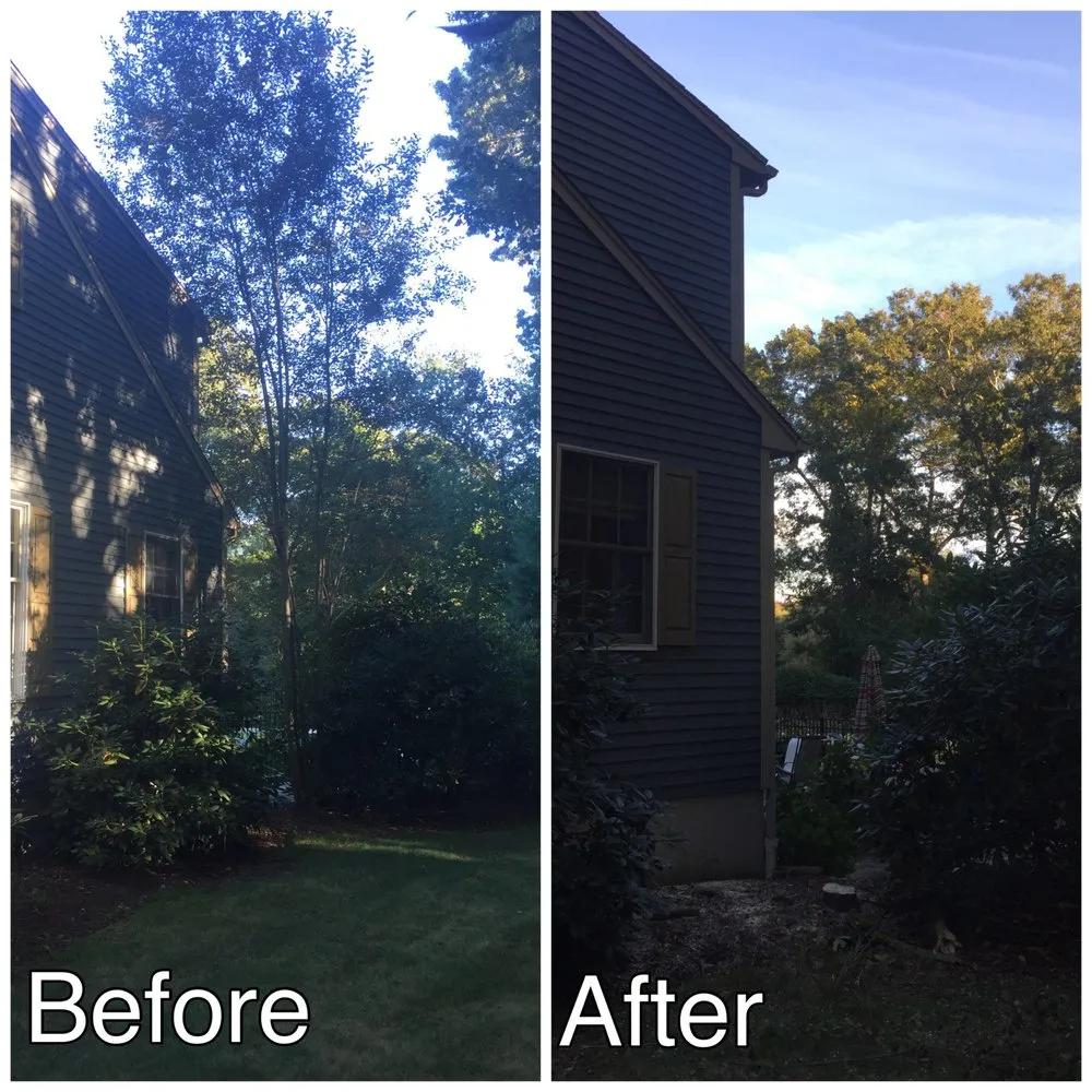 Reliable yard cleanup service experts serving Narragansett, RI - Satalino's Lawn Care and Landscape