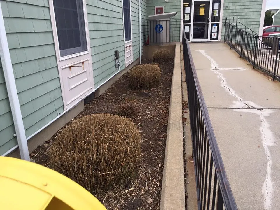 Reliable yard cleanup service for residential properties in Narragansett, RI by Satalino's Lawn Care and Landscape