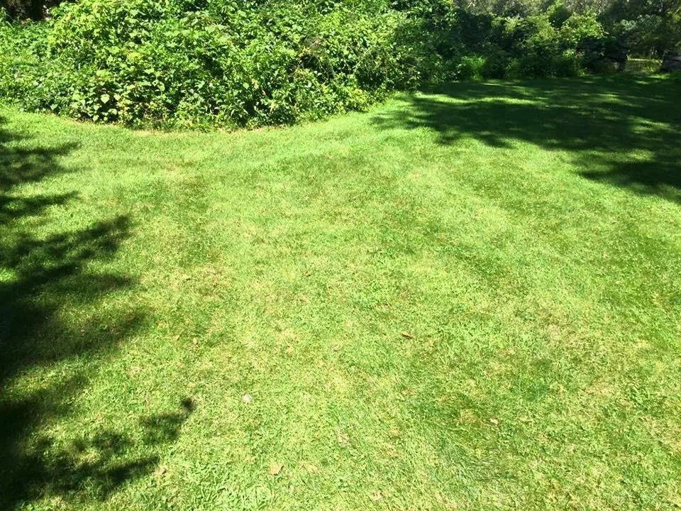 Affordable landscape design for year-round maintenance in Narragansett, RI by Satalino's Lawn Care and Landscape