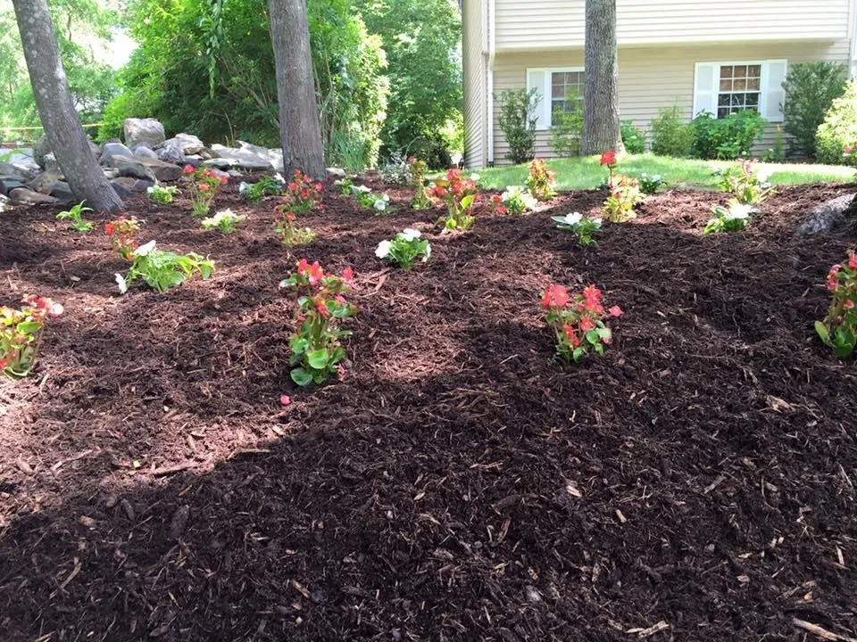 Affordable lawn mowing service for residential properties across Narragansett, RI - Satalino's Lawn Care and Landscape