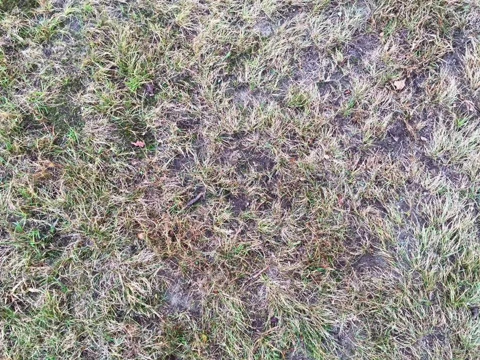 Professional landscape design in Narragansett, RI - Satalino's Lawn Care and Landscape