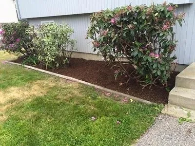 Expert lawn care service in Narragansett, RI - Satalino's Lawn Care and Landscape