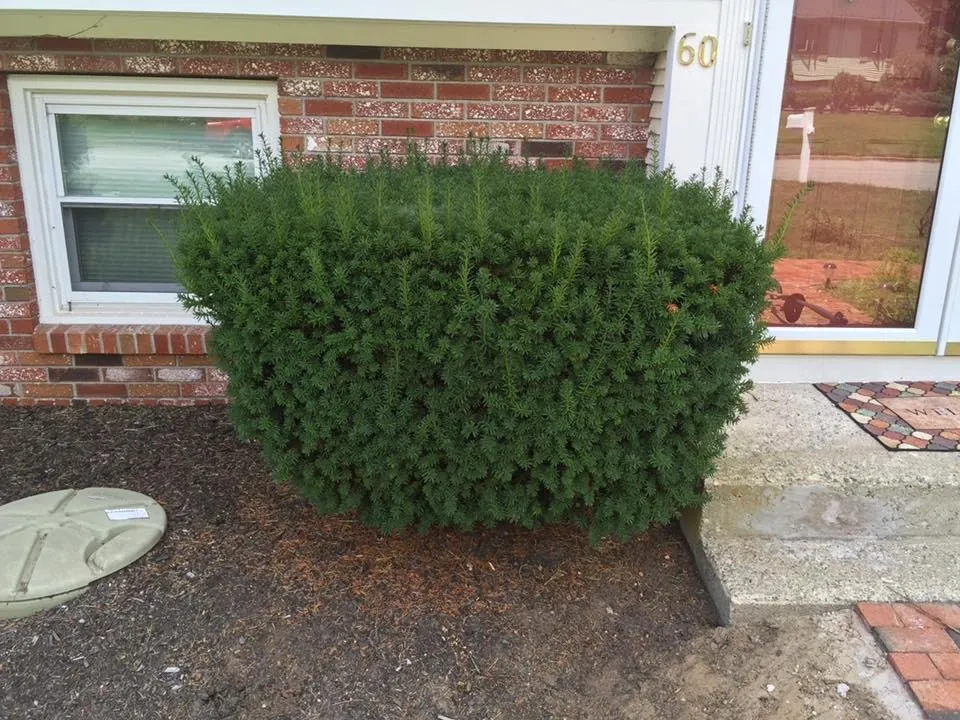 Trusted outdoor landscaping for outdoor upgrades across Narragansett, RI - Satalino's Lawn Care and Landscape