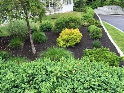 Trusted landscaping services experts serving Narragansett, RI - Satalino's Lawn Care and Landscape