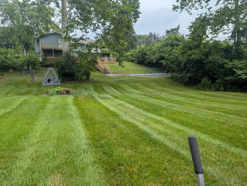 Professional yard cleanup service in West Carrollton, OH by Satisfaction Lawn Care