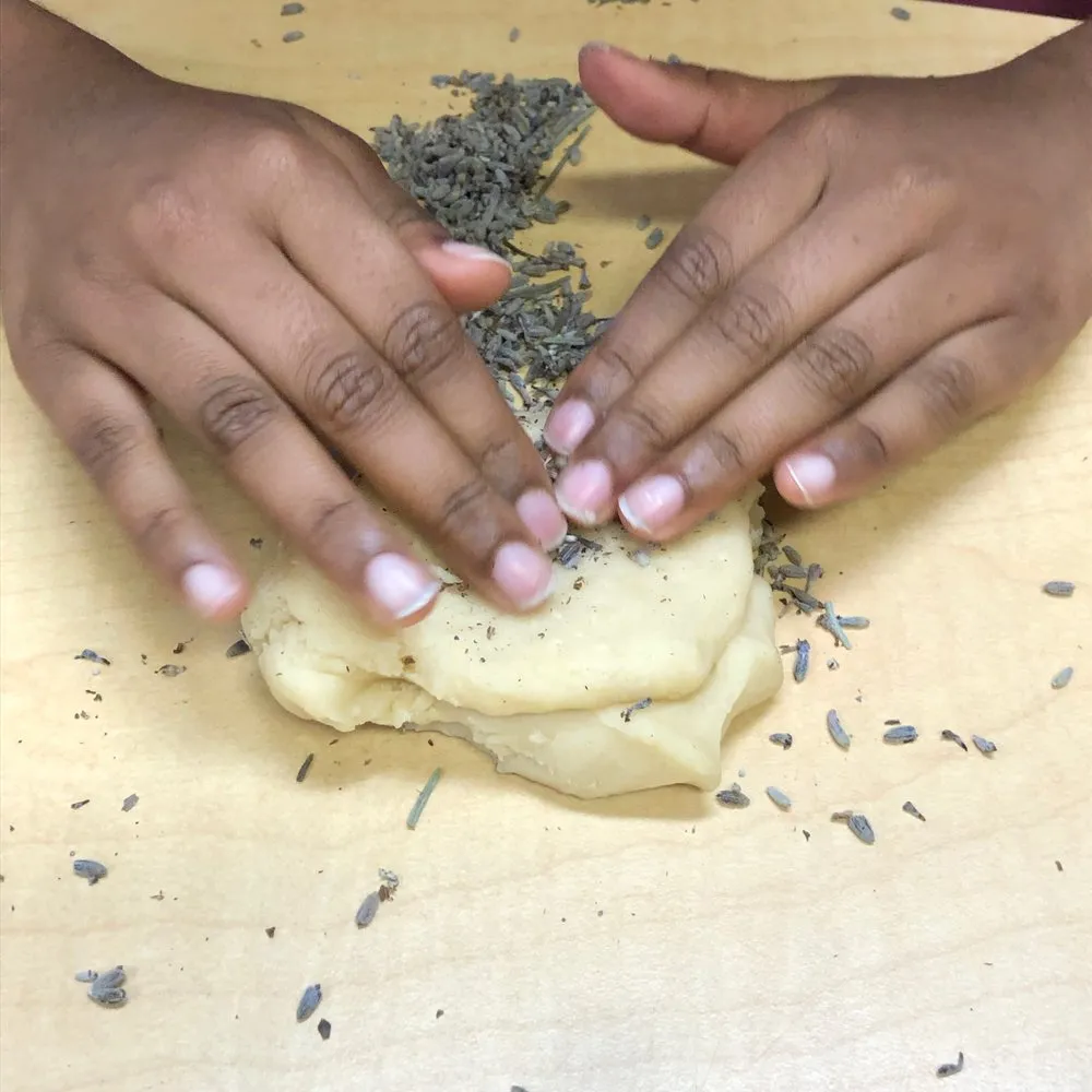 Trusted garden landscaping experts serving Santa Monica, CA - Satori Garden Design