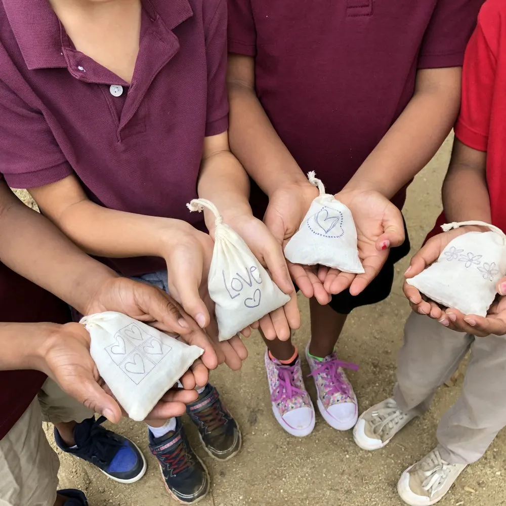 Expert landscaping services experts serving Santa Monica, CA - Satori Garden Design