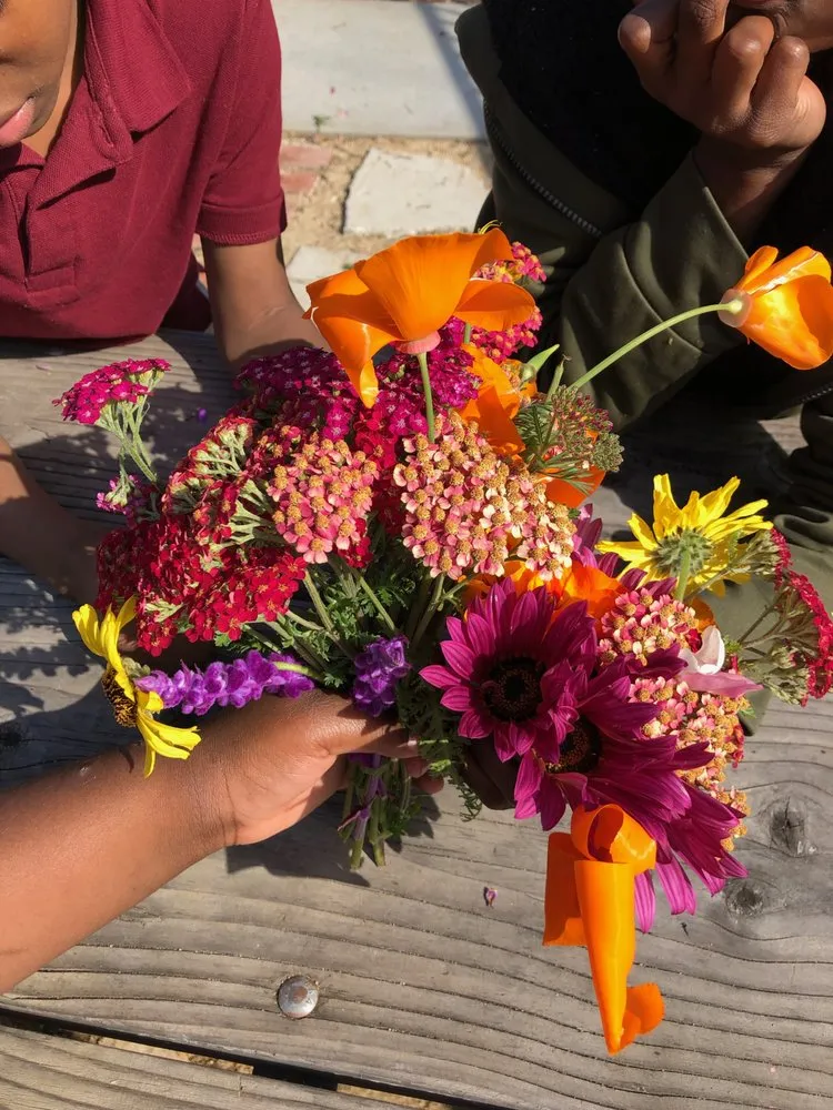 Reliable yard maintenance for residential properties in Santa Monica, CA by Satori Garden Design