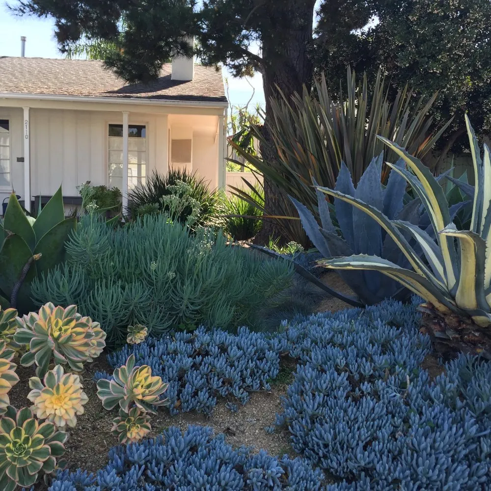 Custom outdoor landscaping in Santa Monica, CA by Satori Garden Design