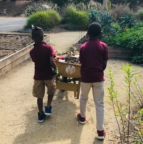 Top-rated landscaping services for beautiful yards in Santa Monica, CA by Satori Garden Design