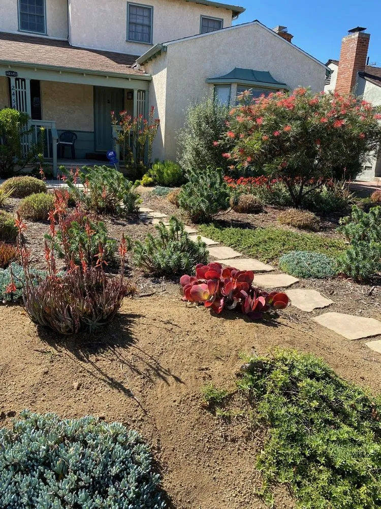 Affordable lawn care service experts serving Santa Monica, CA - Satori Garden Design