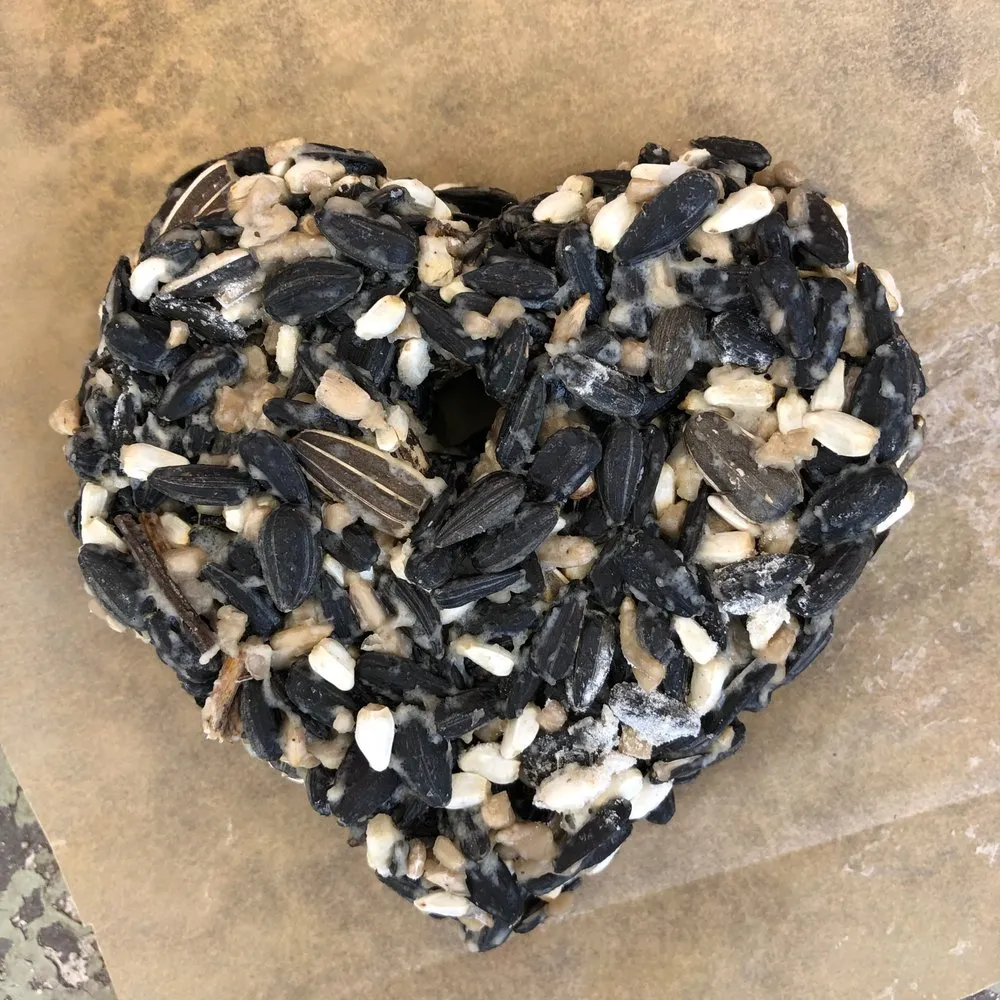 Expert landscaping services for beautiful yards in Santa Monica, CA by Satori Garden Design