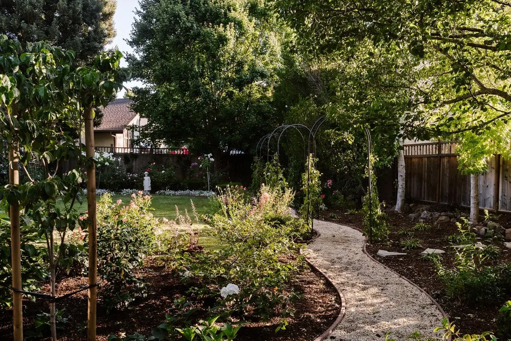 Local yard cleanup service in San Jose, CA by Satori Gardens