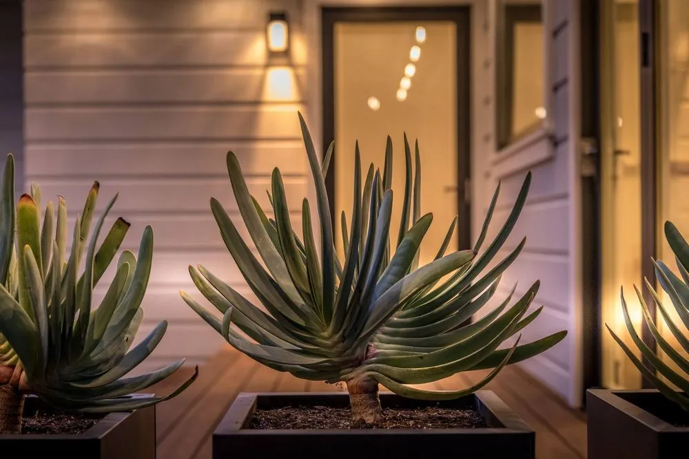 Professional garden landscaping experts serving San Jose, CA - Satori Gardens