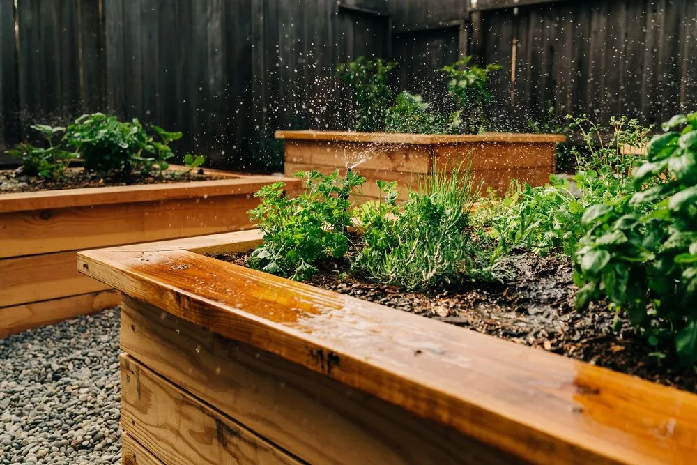 Local lawn mowing service with custom design across San Jose, CA - Satori Gardens