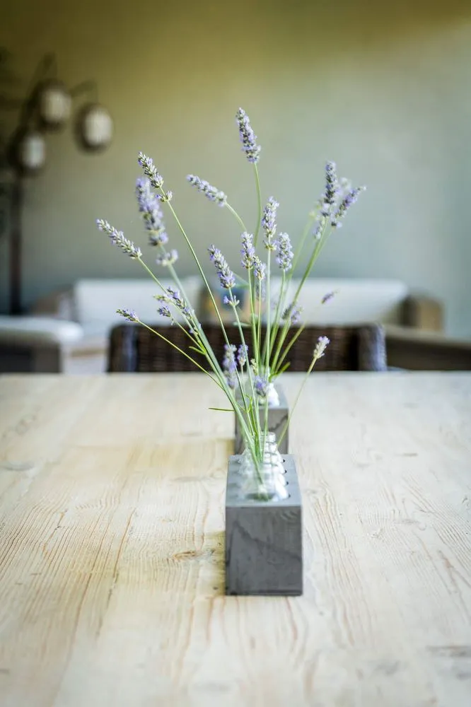 Professional outdoor landscaping in San Jose, CA - Satori Gardens