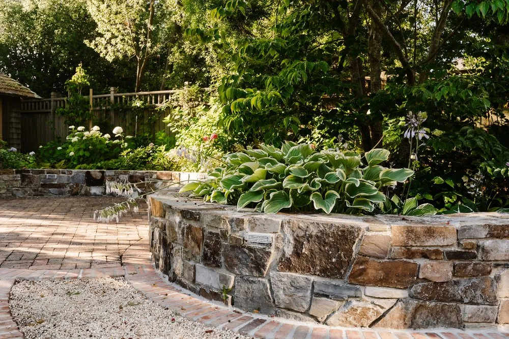 Reliable lawn care service in San Jose, CA by Satori Gardens