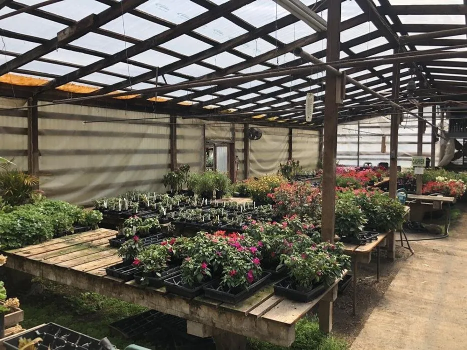 Professional outdoor landscaping for homes in Elma, WA by Satsop Landscaping & Nursery