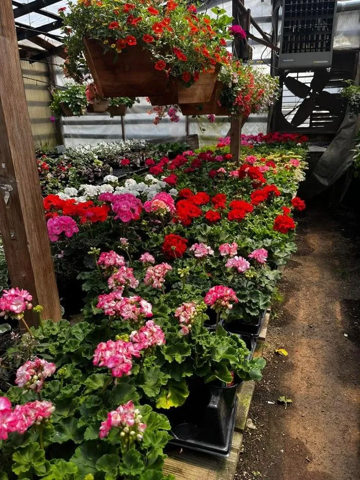 Trusted residential landscaping experts serving Elma, WA - Satsop Landscaping & Nursery