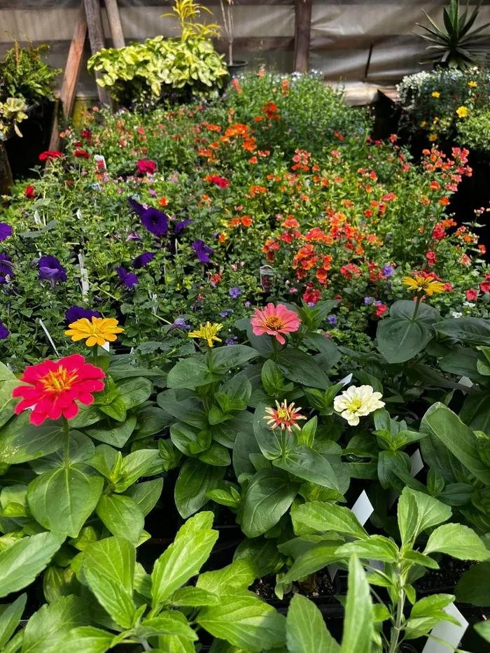 Professional residential landscaping in Elma, WA - Satsop Landscaping & Nursery