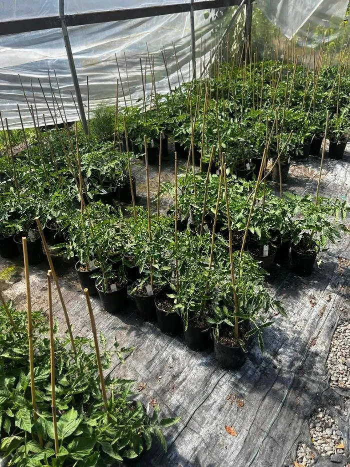 Professional landscape design for homes in Elma, WA by Satsop Landscaping & Nursery