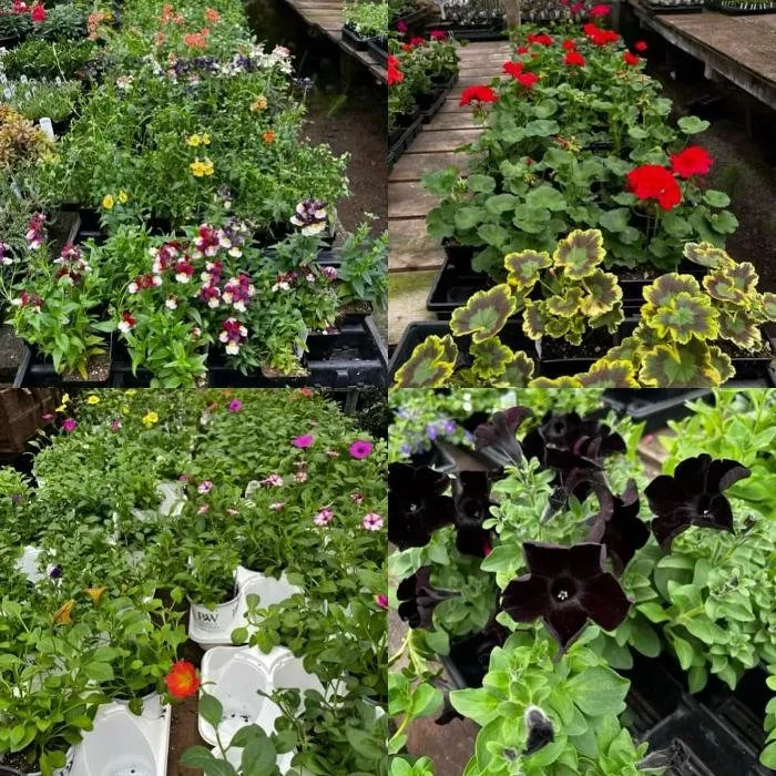 Affordable yard cleanup service in Elma, WA - Satsop Landscaping & Nursery