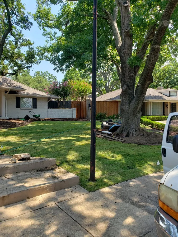 Expert yard cleanup service in Dallas, TX - Saucedo Landscaping