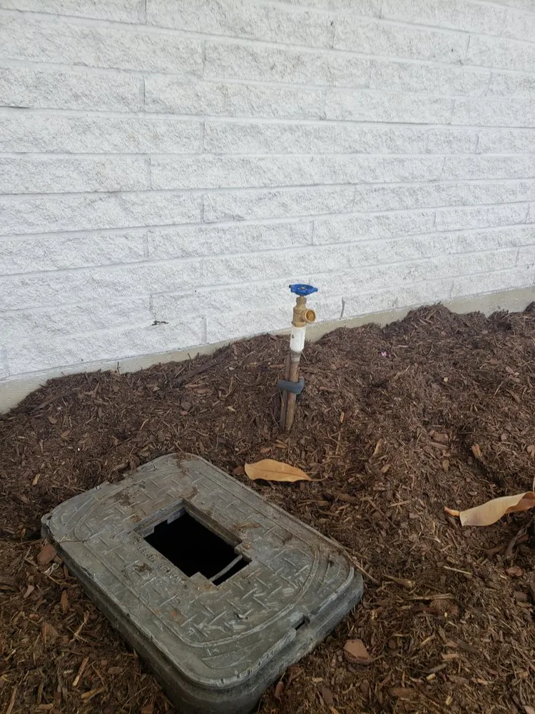 Reliable landscape installation in Dallas, TX - Saucedo Landscaping