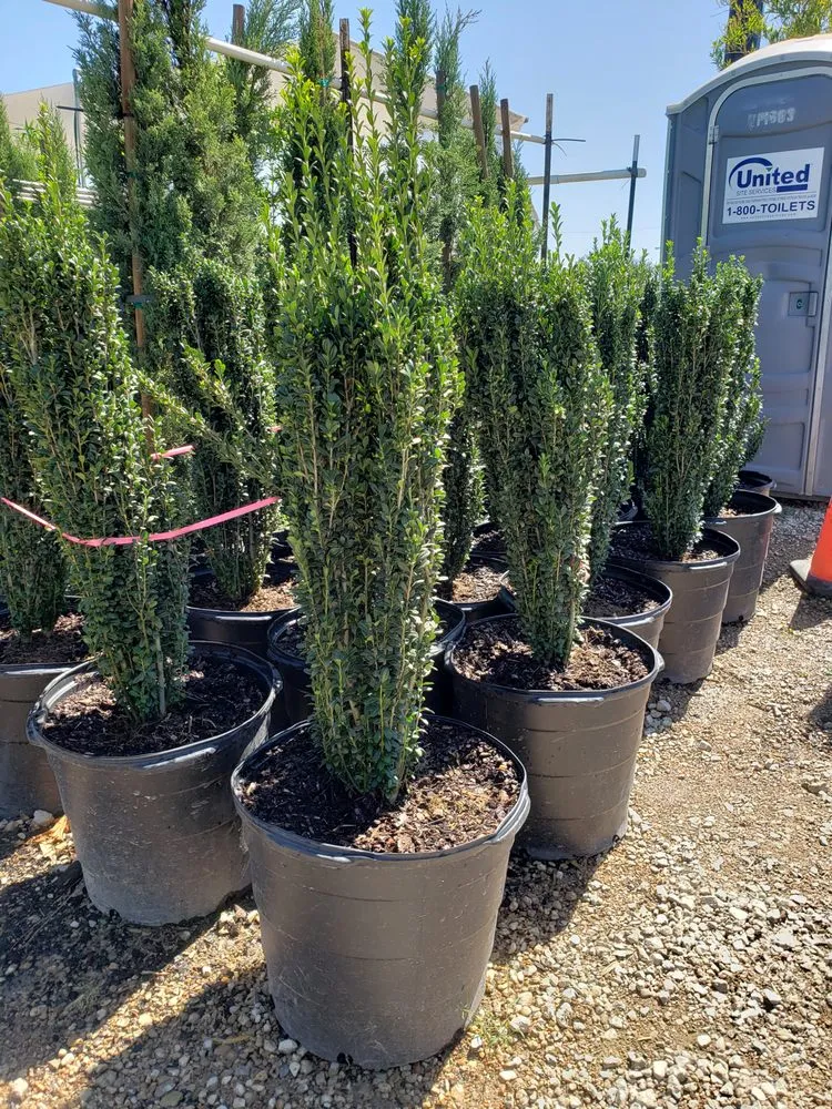 Trusted landscape installation experts serving Dallas, TX - Saucedo Landscaping