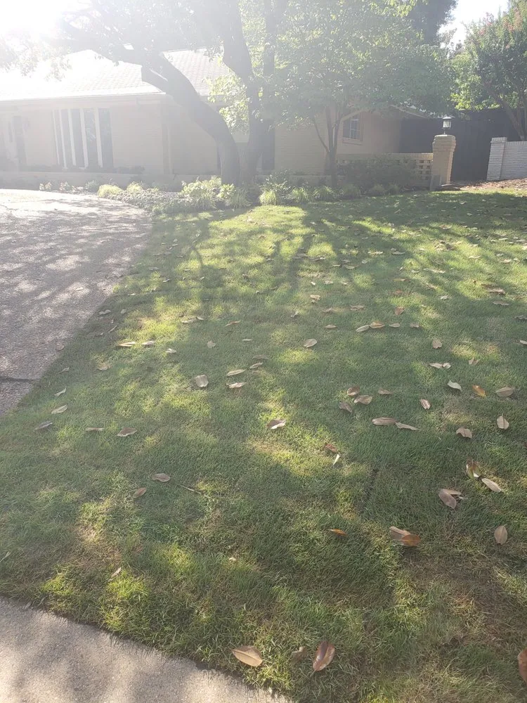 Local landscaping services near you in Dallas, TX by Saucedo Landscaping