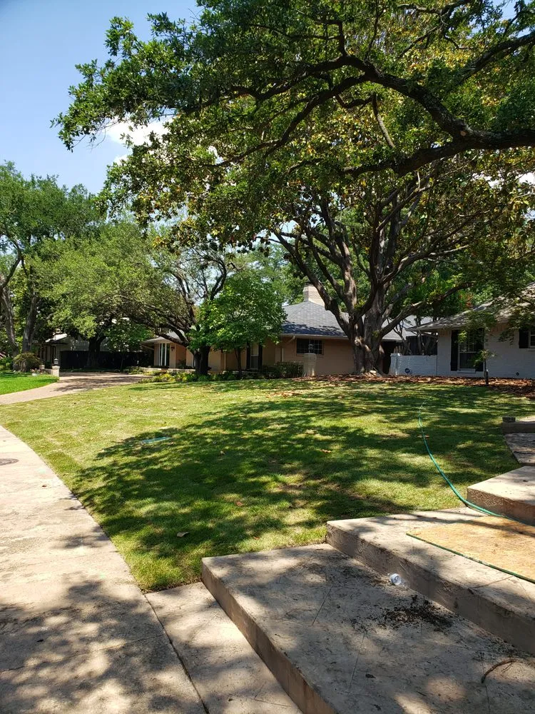 Trusted yard maintenance with custom design in Dallas, TX by Saucedo Landscaping