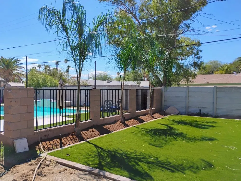 Custom yard maintenance in Tucson, AZ - Saucedo Light