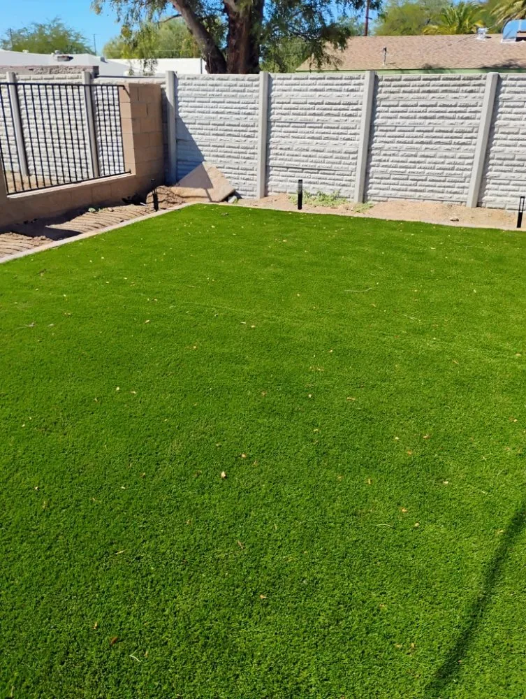 Expert yard maintenance in Tucson, AZ by Saucedo Light