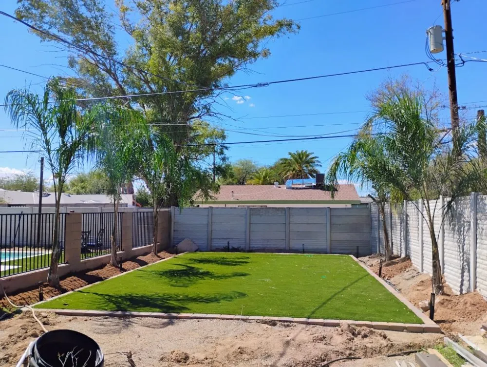 Reliable yard maintenance in Tucson, AZ by Saucedo Light