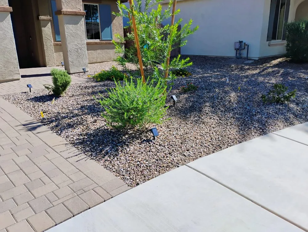 Custom garden landscaping in Tucson, AZ - Saucedo Light
