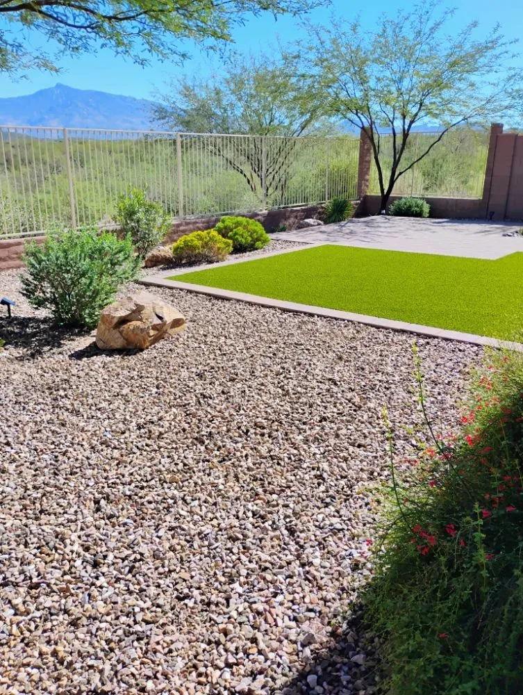 Expert yard cleanup service in Tucson, AZ by Saucedo Light