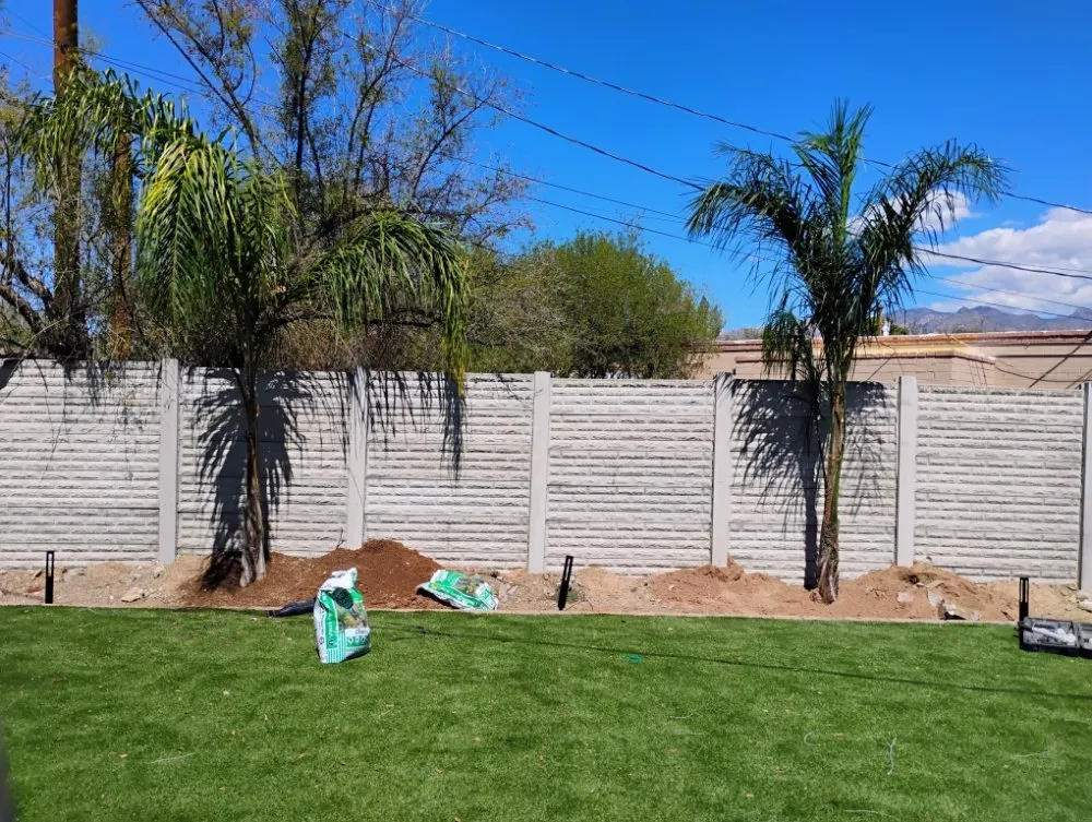 Reliable landscaping services in Tucson, AZ by Saucedo Light