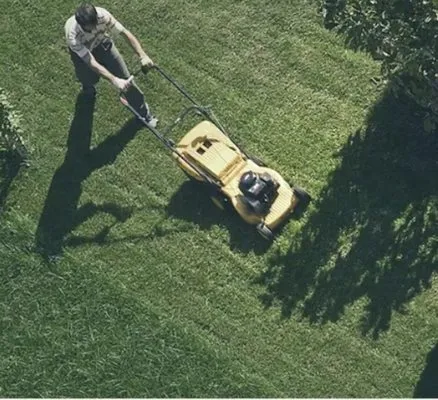 Saucedo's Pressure Washing & Lawn Maintenance