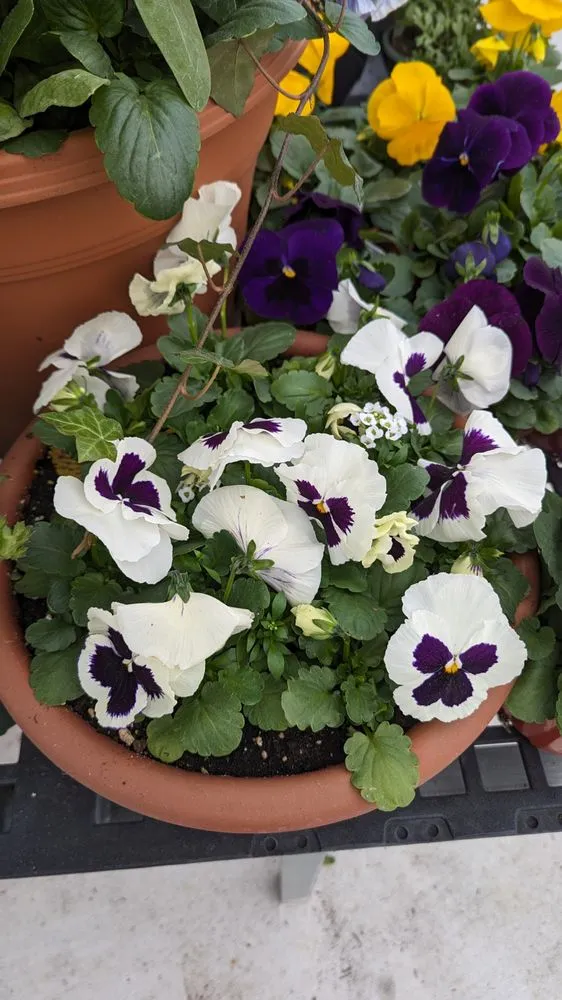 Trusted lawn care service for homes in Malvern, PA by Sauder's Nursery